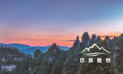 巴旅数创logo